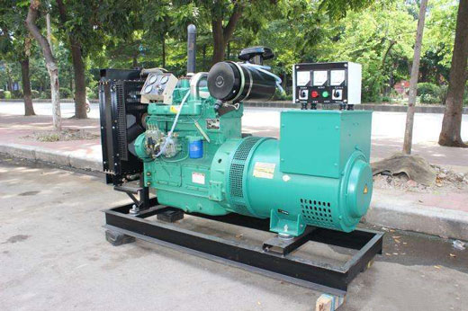 礼县发电机不发电的原因